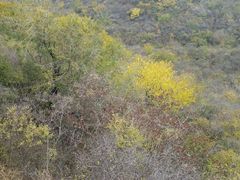 景点-居庸关长城