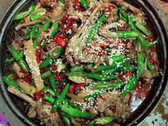 -猫头婴小酒馆FUN OWL(1912店)