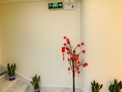 -海涛医疗美容·面部抗衰·注射美鼻