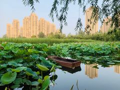 -前关湿地公园