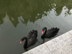 -杭州师范大学(下沙校区)