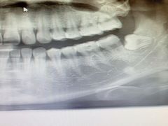 -泰康拜博口腔(世博园乐尔店)