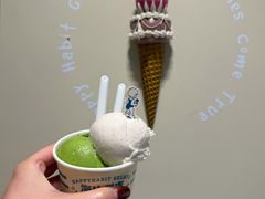 -海比甜店·意式手工冰激淋happy habit gelato