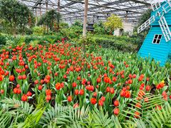 -南宫五洲植物乐园