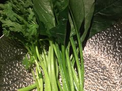 菠菜-盛元盛居传统炭火锅(绿园店)