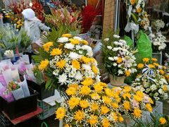 -循礼门鲜花花市(武汉循礼门店)