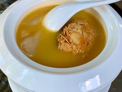 浓汤花胶鱼翅（约230克）-申粤轩酒楼·三十年粤菜经典(丁香花园店)