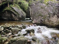 -牛背梁国家森林公园