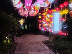 -融汇温泉