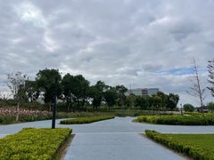 -春花秋色城市公园