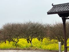 -凤凰沟景区