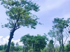 -呈贡滇池生态湿地公园