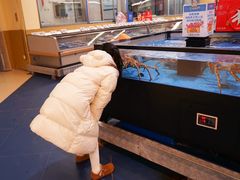 -盒马X会员店(王府井奥莱UP TOWN店)