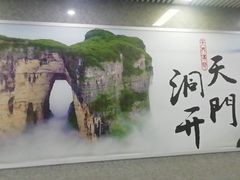 -张家界荷花国际机场航站楼-国内出发