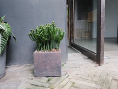 -凤凰御元艺术基地