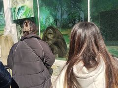 -泉州海丝野生动物世界