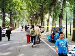 -御林古桑园