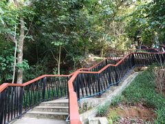 景点-天鹿湖森林公园