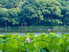 -北山街历史文化街区