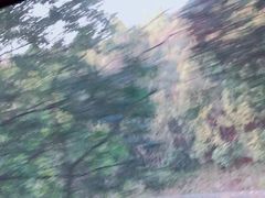 -大余丫山旅游度假区