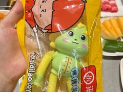 -海底捞火锅(公益西桥店)