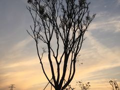 -白石龙音乐公园