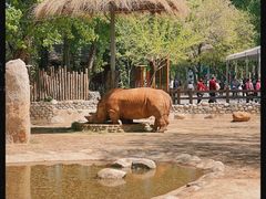 -北京野生动物园