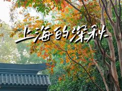 -东平国家森林公园