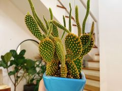 -森野花艺培训·企业团建活动沙龙