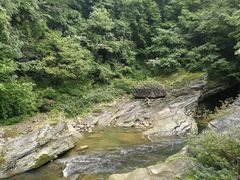 -黎坪国家森林公园