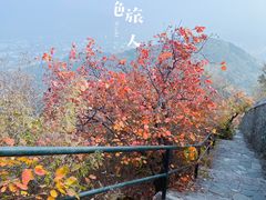 -香山公园