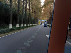 -黄海国家森林公园