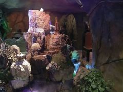 -醉小酒馆·川菜·江湖菜·重庆菜(观音桥旗舰店)