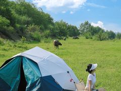 -迪卡侬(西华店)