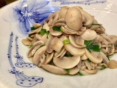 凉拌蘑菇-福记大酒店(星湖街区店)