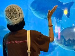 -烟台海昌鲸鲨海洋公园