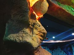 -青岛嘉年华主题乐园