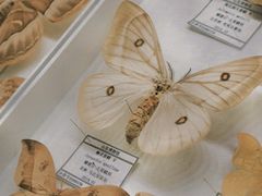 -青岛市博物馆