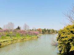 -上海海湾国家森林公园