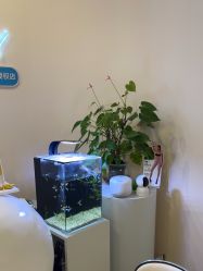 -S&G Beauty轻奢皮肤管理中心