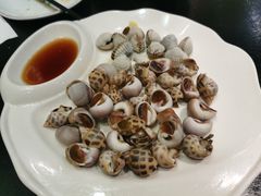 香螺拼花螺-健眺小海鲜(临海后山店)