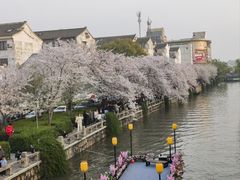 -常熟方塔园