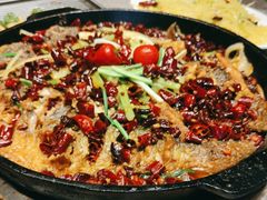 -老板恋上鱼(恒隆广场店)