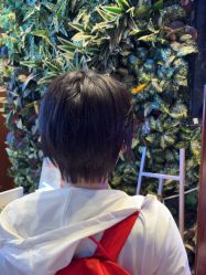 -T.1 hair salon烫染接发