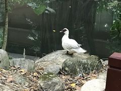 -七仙岭君澜度假酒店·桃源小馆中餐厅