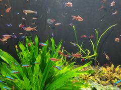 -成都浩海立方海洋公园