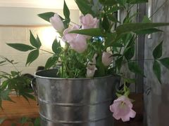 -美丽心情蛋糕(江苏路店)