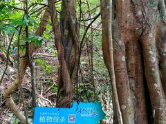 -七仙岭温泉国家森林公园
