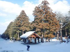 -北海道神宫