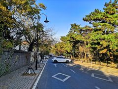 -八大关景区